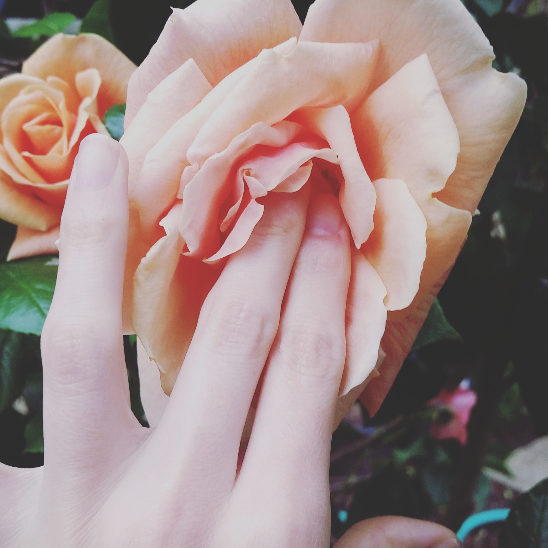 The key to abundance, pleasure & deep orgasms