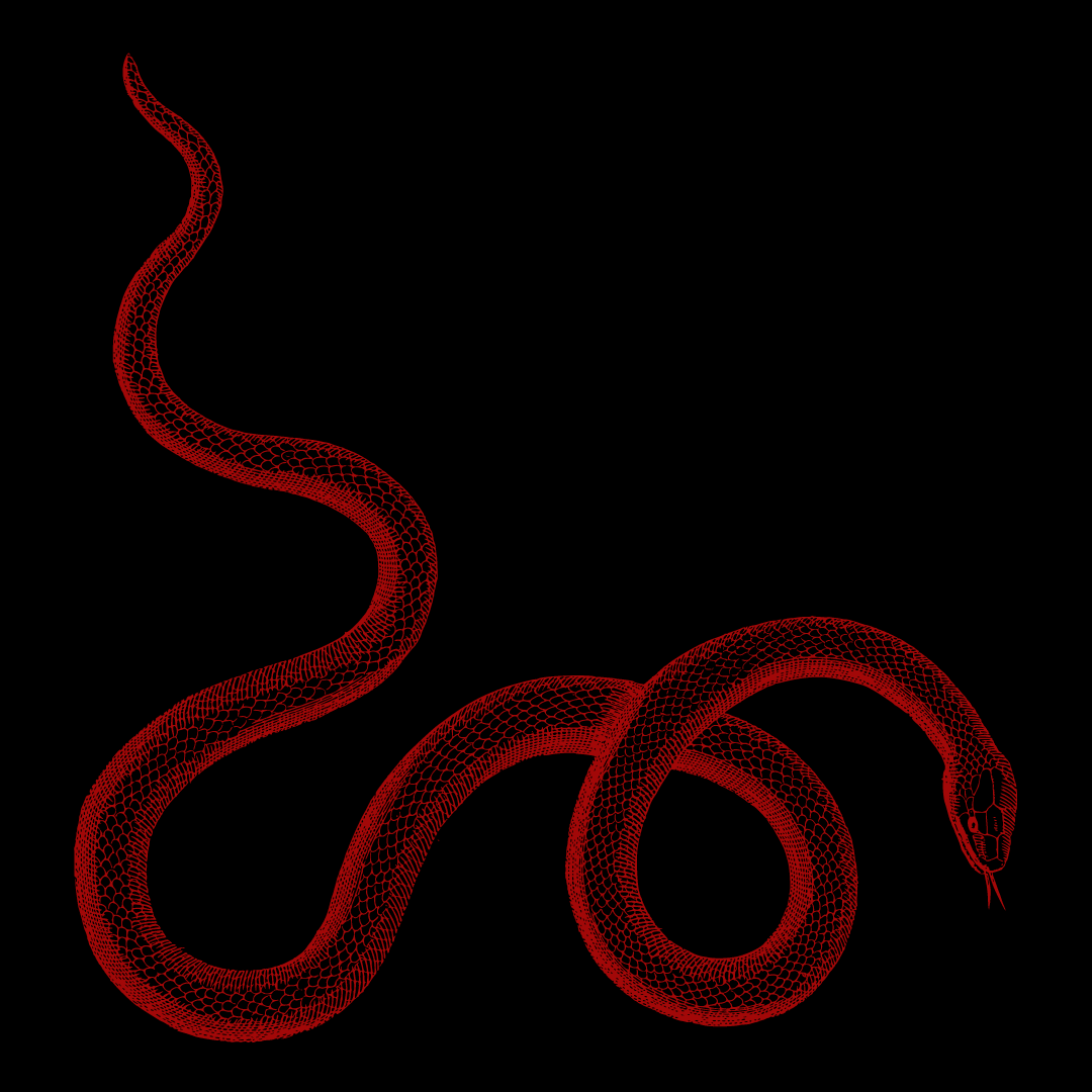 snake